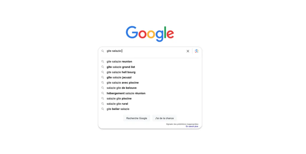 Recherche Google ou est saisie gite salazie